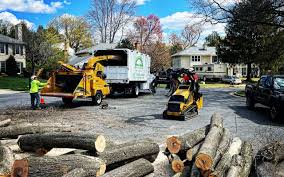 Artificial Turf Installation in Columbia Heights, MN